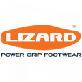Lizard 